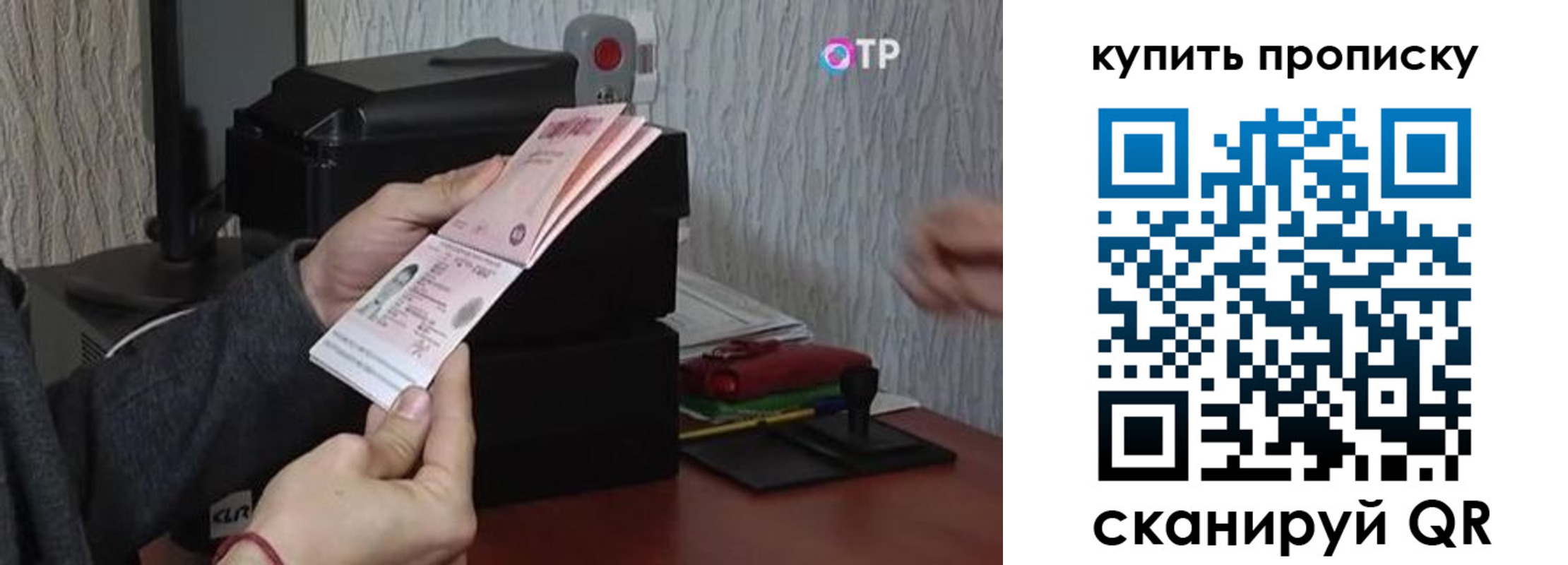 прописка гарантия в Зеленоградске