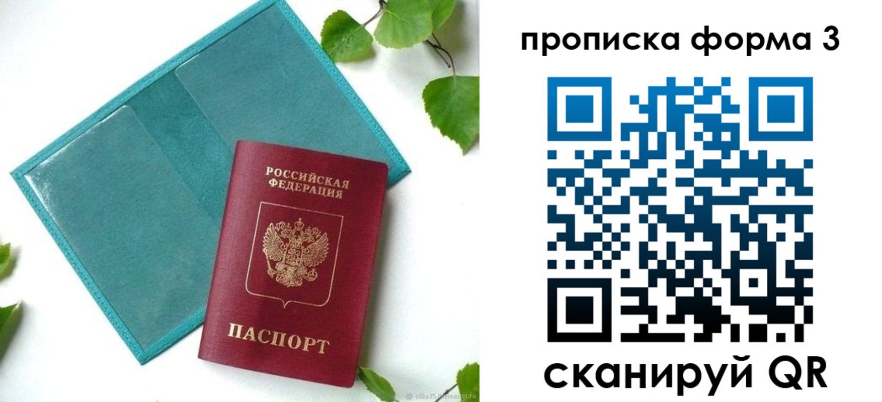 прописка ребенка в Зеленоградске